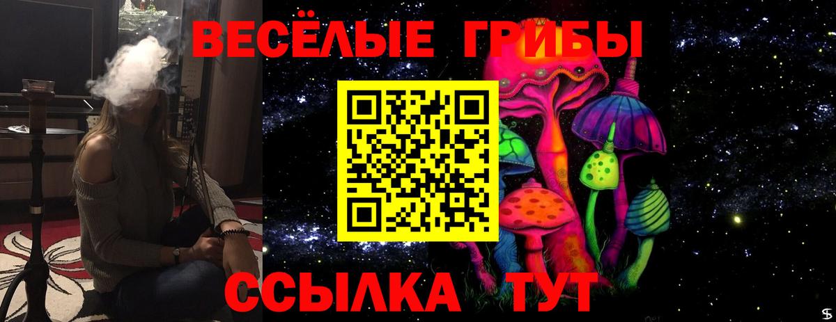 Псилоцибиновые грибы прущие грибы Урус-Мартан